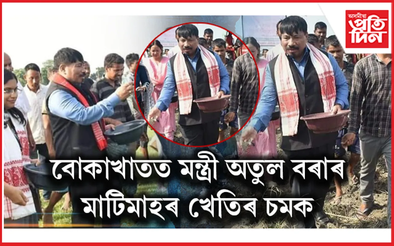 বোকাখাতত মন্ত্ৰী অতুল বৰাৰ মাটিমাহৰ খেতিৰ চমকঃ ১০০০ বিঘাৰ খেতিত বিঘায়ে প্ৰতি উৎপাদন হ'ল মাত্ৰ ১ কিঃগ্ৰাঃ মাহ...